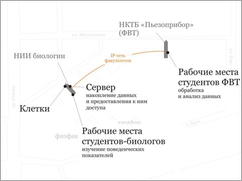 images:biometrix2008:слайд8.jpg