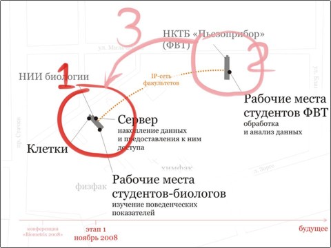 images:biometrix2008:слайд9.jpg