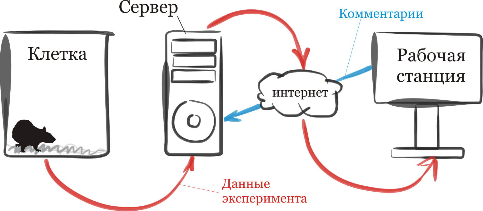 images:ksino:simplescheme.png